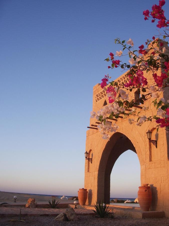 Marsa Shagra Village Abu Dabbab Zewnętrze zdjęcie